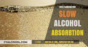 Fizzy Drinks and Alcohol: Unraveling the Carbonation Conundrum