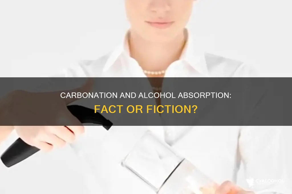 does carbonation slow down alcohol absorption