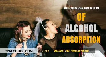 Carbonation's Impact: Does It Slow Alcohol Absorption in Your Body?