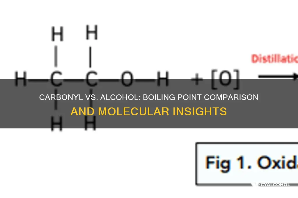 does carbonyl have a higher bp than alcohol