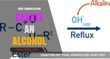 Exploring the Chemical Reaction: Carboxylation and Alcohol Formation