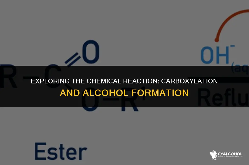 does carboxylation create an alcohol