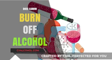 Sweat it Out: The Truth About Cardio and Alcohol Metabolism