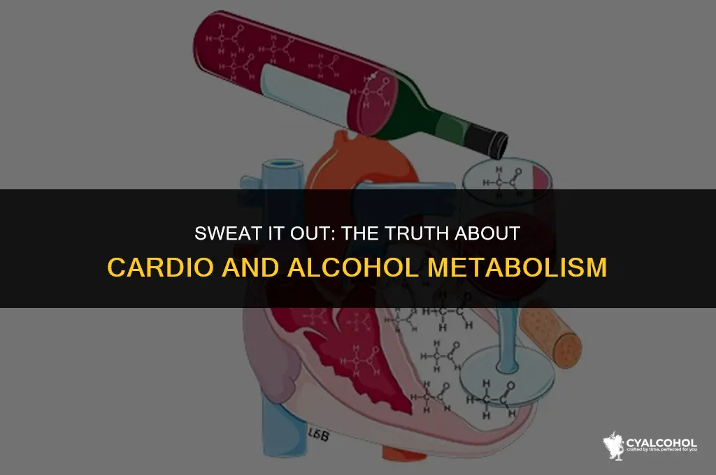 does cardio burn off alcohol