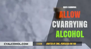 Sipping on the High Seas: Carnival's Alcohol Policy Explained