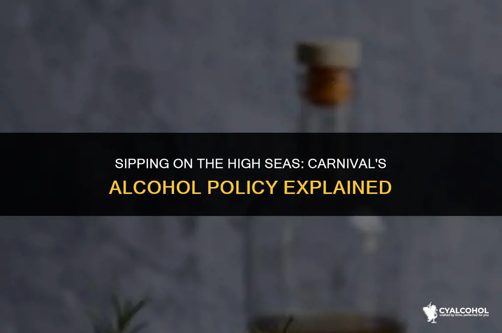 does carnival allow cvarrying alcohol