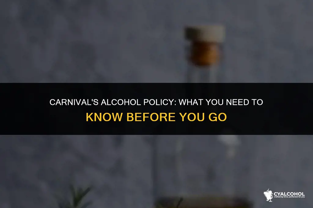 does carnival check for alcohol