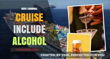 Sipping on the High Seas: Alcohol Options on Carnival Cruises