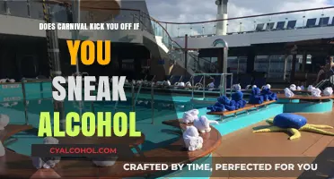 Carnival Cruise Alcohol Policy: Sneaking Booze Onboard?