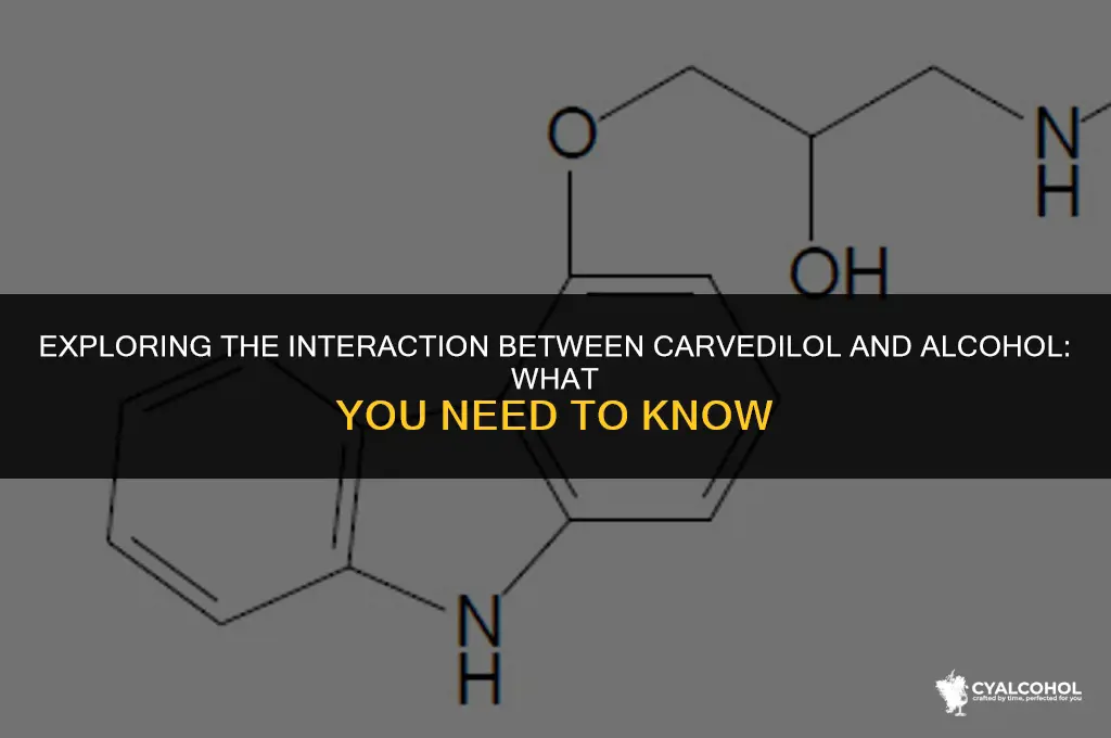does carvedilol interact with alcohol
