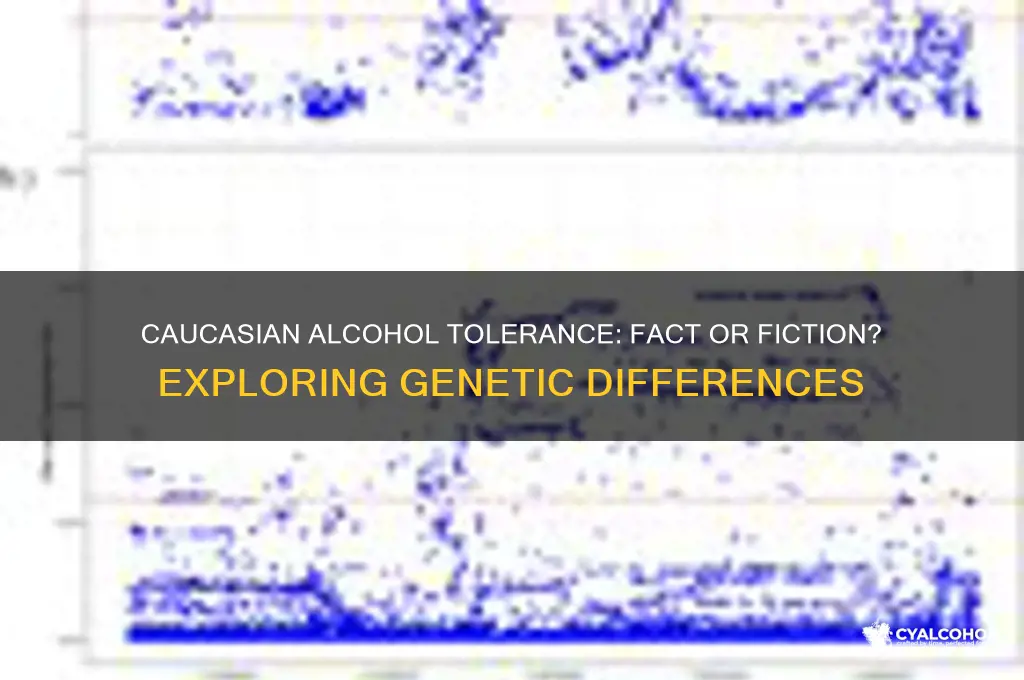does caucasian have higher alcohol tolerance