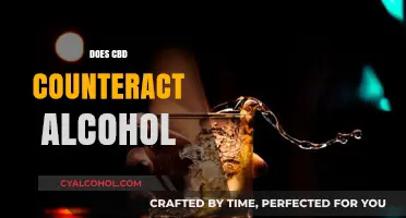 CBD and Alcohol: Exploring Potential Counteractive Effects and Interactions