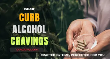 Exploring CBD's Potential: Can It Help Curb Alcohol Cravings?