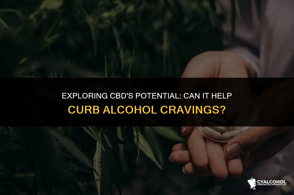 does cbd curb alcohol cravings