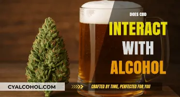 Exploring the Effects: CBD and Alcohol Interaction Uncovered