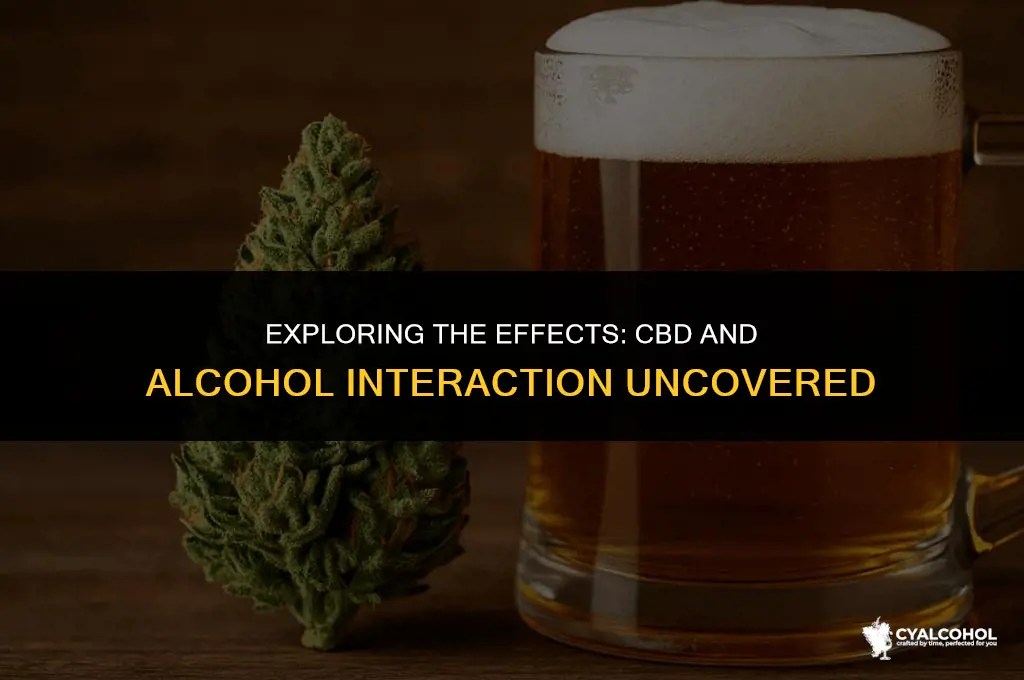 does cbd interact with alcohol