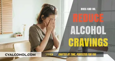 Can CBD Oil Help Curb Alcohol Cravings? Exploring the Evidence