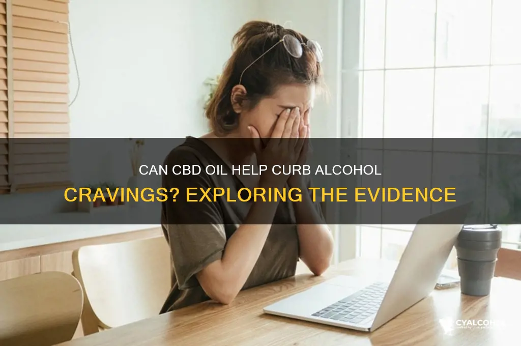 does cbd oil reduce alcohol cravings