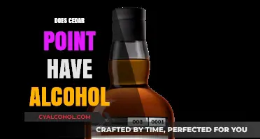 Exploring Cedar Point: A Guide to Alcohol Availability and Policies