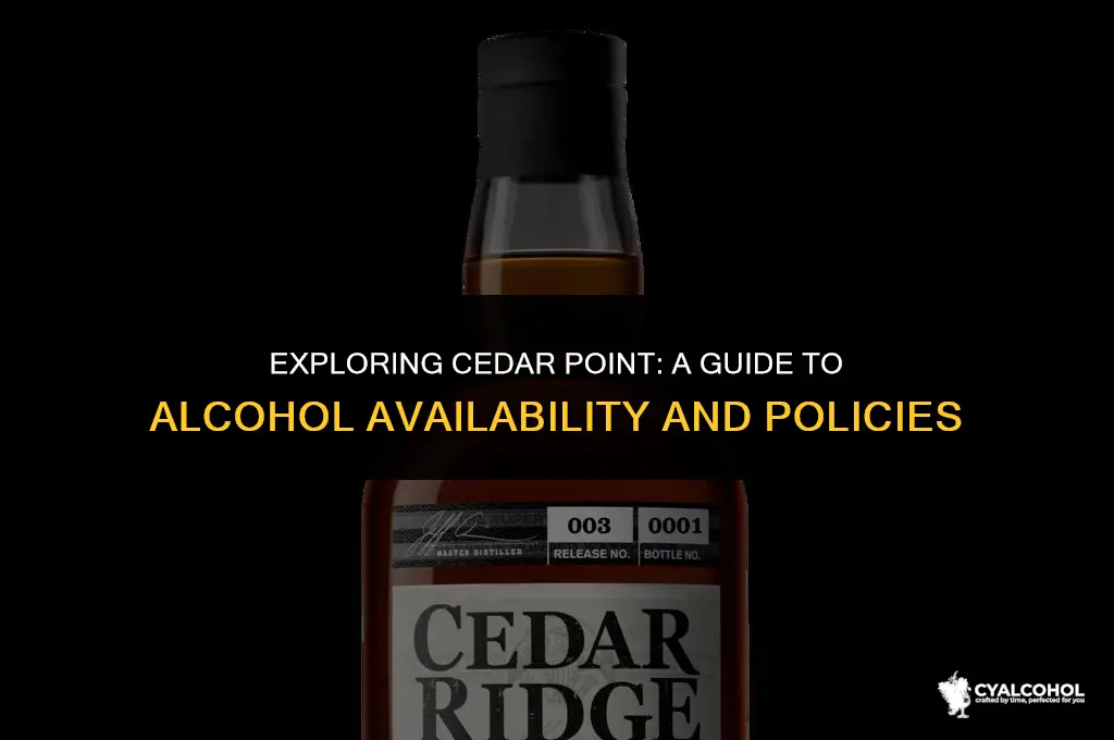 does cedar point have alcohol