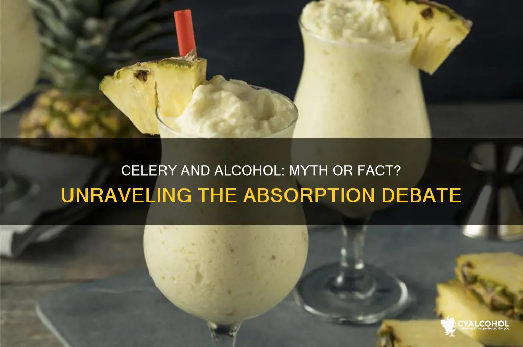 does celery absorb alcohol