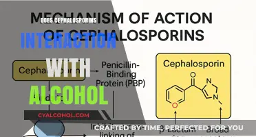 Unveiling the Truth: Cephalosporins and Alcohol Interaction Explained