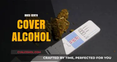 Does Certo Mask Alcohol in Tests? Facts and Myths Explained