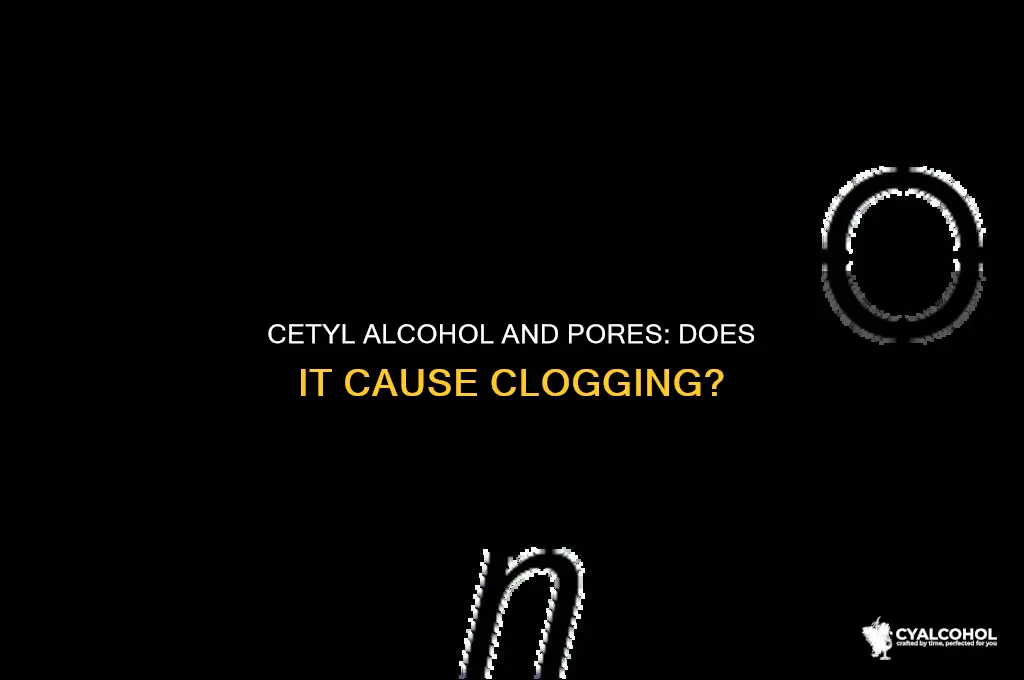does cetyl alcohol clog pores