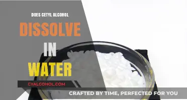 Cetyl Alcohol Solubility: Does It Dissolve in Water?