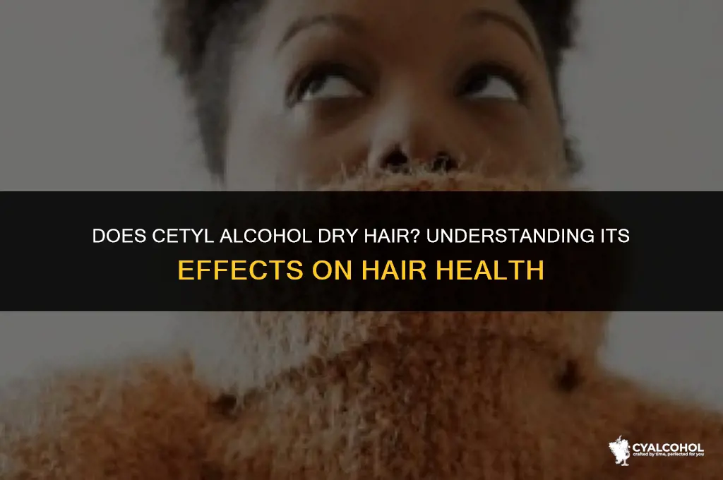 does cetyl alcohol dry hair