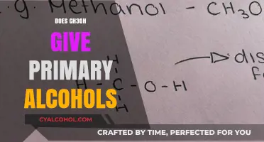 Exploring the Role of CH3OH in Primary Alcohol Synthesis: A Comprehensive Guide