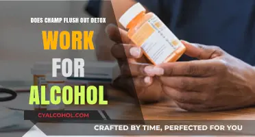 Does Champ Flush Out Detox Effectively Remove Alcohol from Your System?