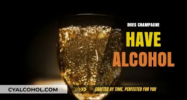 Does Champagne Contain Alcohol? Unveiling the Truth Behind the Bubbles