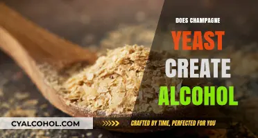 The Bubbly Truth: How Champagne Yeast Produces Alcohol