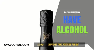 Does Champaign Contain Alcohol? Unveiling the Truth Behind the Bubbles