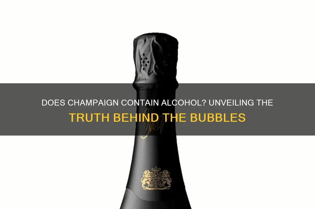 does champaign have alcohol