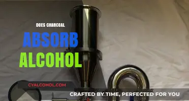 Can Charcoal Absorb Alcohol? Exploring Its Detoxifying Properties