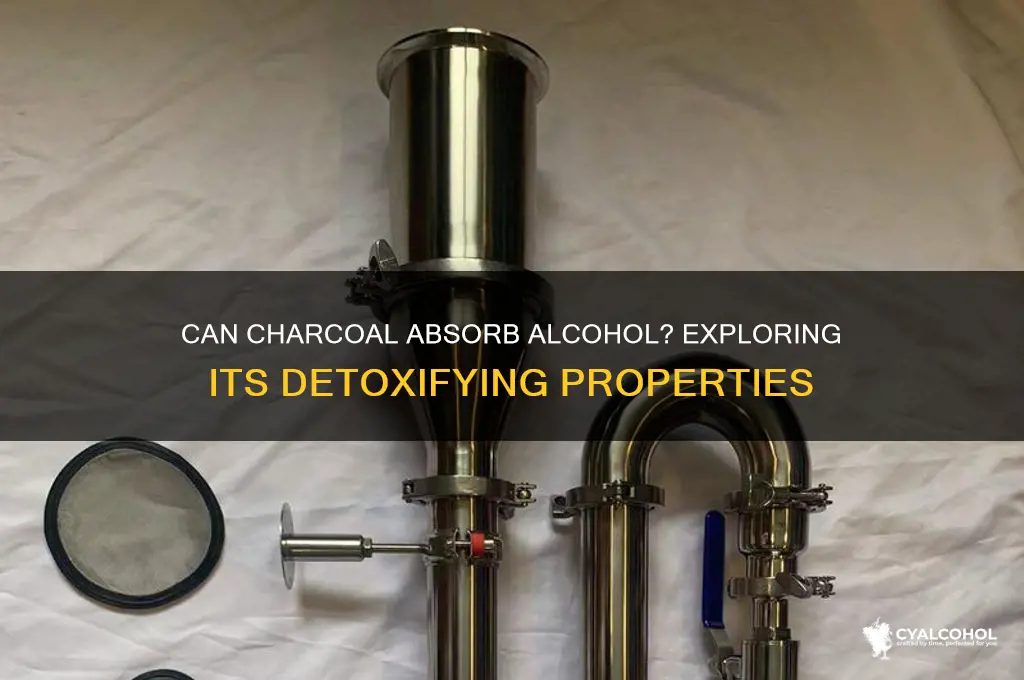 does charcoal absorb alcohol