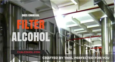 Can Charcoal Filters Effectively Remove Alcohol from Beverages?