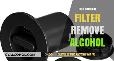 Sobering Truths: Can Charcoal Filters Really Remove Alcohol?
