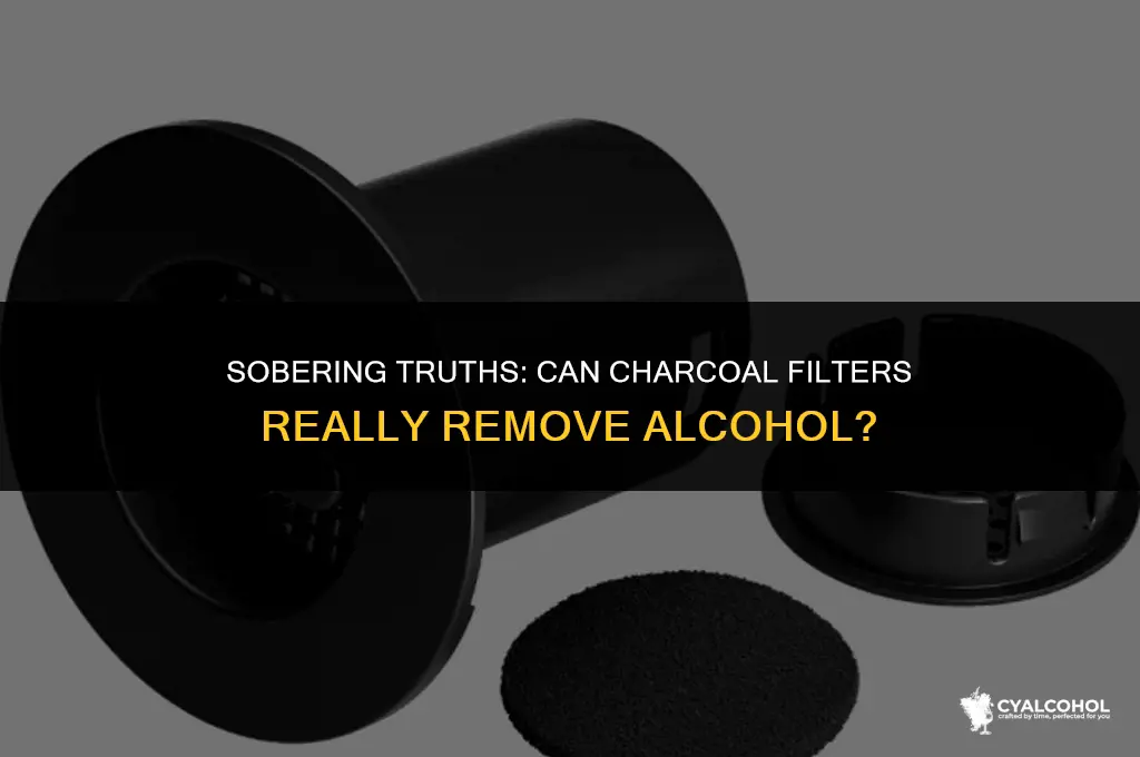 does charcoal filter remove alcohol
