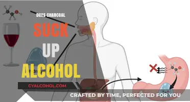 Exploring the Myths: Does Charcoal Really Absorb Alcohol?