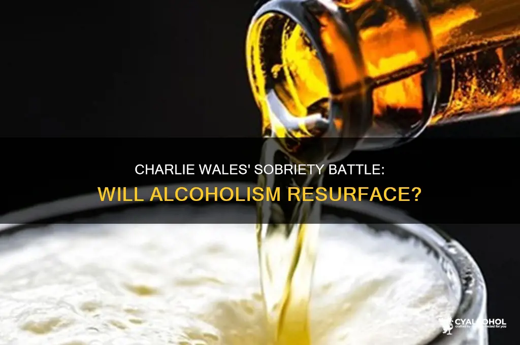 does charlie wales return to alcoholism