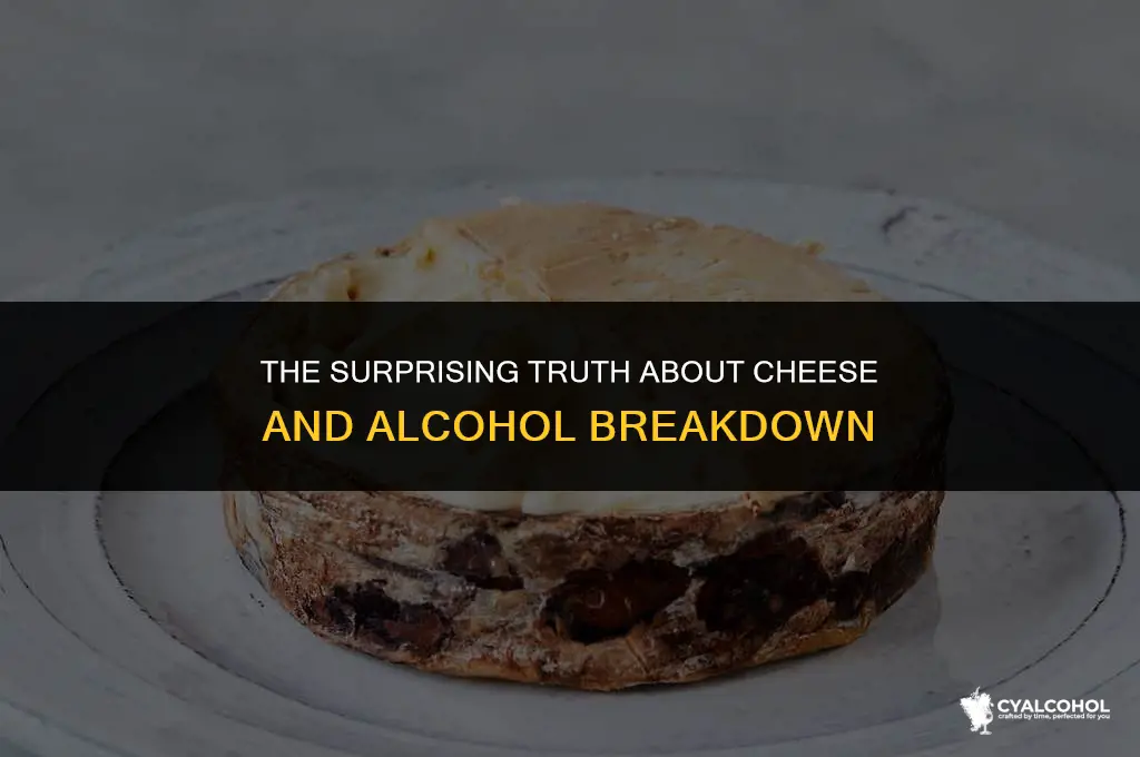 does cheese break down alcohol