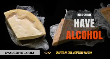 Does Cheese Contain Alcohol? Unraveling the Fermentation Mystery in Dairy