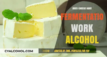 Cheese Fermentation Explained: Does the Process Produce Alcohol?