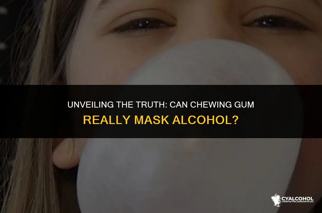 does chewing gum mask alcohol