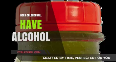 Chlorophyll and Alcohol: Unraveling the Truth Behind the Myth