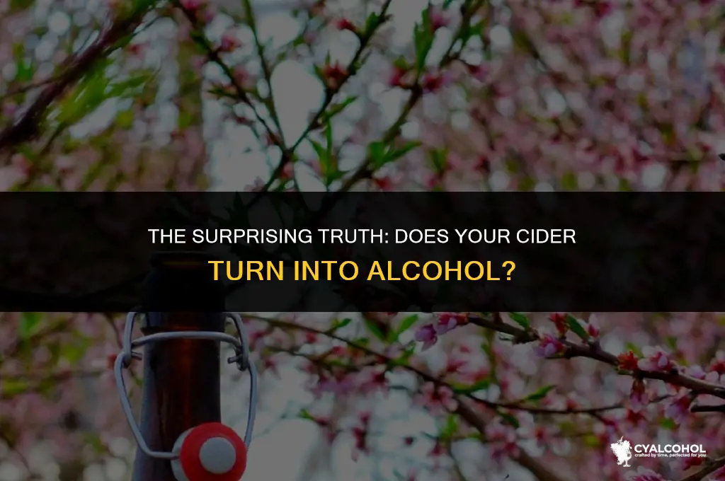 does cider turn into alcohol