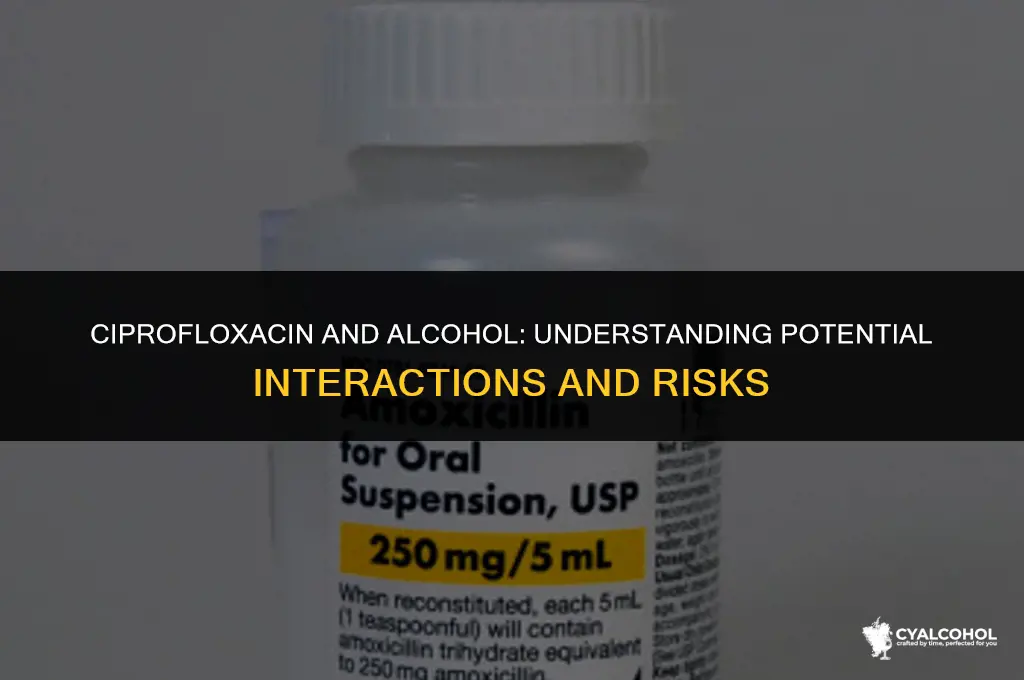 does cipro react with alcohol